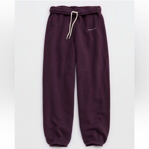 💜 AE OFFLINE By Aerie Cloud Fleece Baggy Jogger